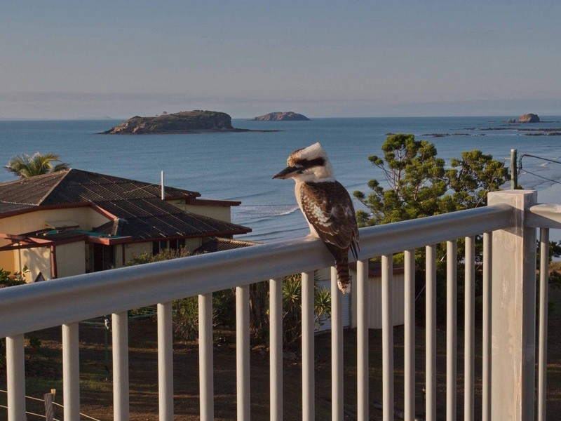 92 Larnarch Street, Zilzie QLD 4710