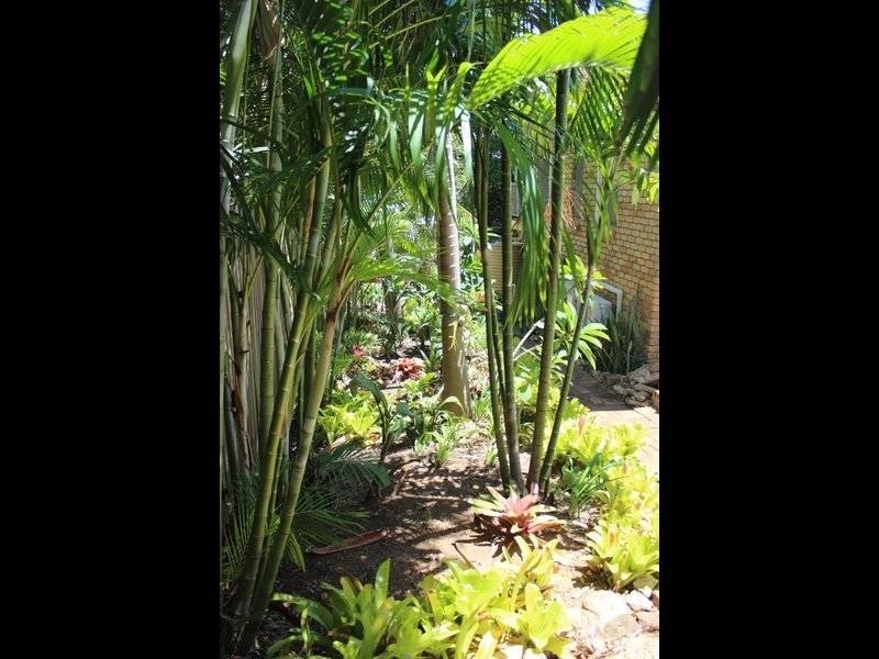 9 Found Street, Meikleville Hill QLD 4703