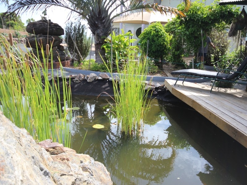 96 Crannys Road, Barlows Hill QLD 4703