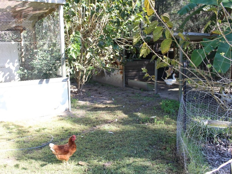 118 Arnolds Road, Byfield QLD 4703