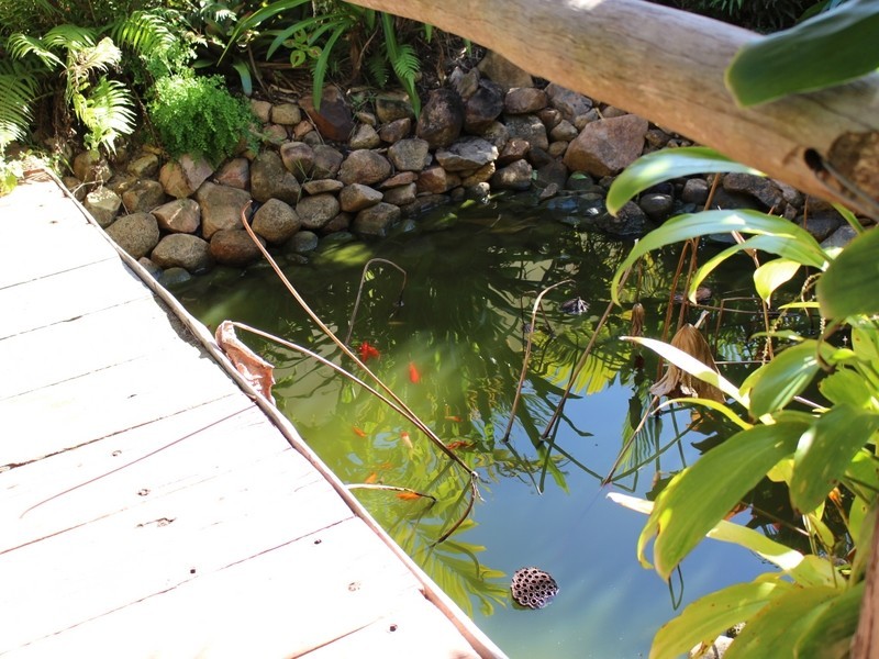 118 Arnolds Road, Byfield QLD 4703