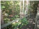 220 Richters Road, Byfield QLD 4703