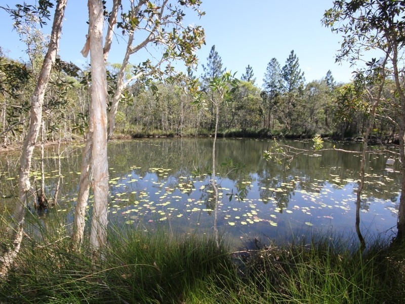 220 Richters Road, Byfield QLD 4703