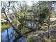 303 Bondoola Road, Bondoola QLD 4703