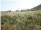 Limestone Creek, Yeppoon QLD 4703