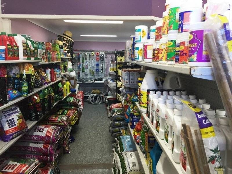 ‘The Green Shed’/32 Mary Street, Yeppoon QLD 4703