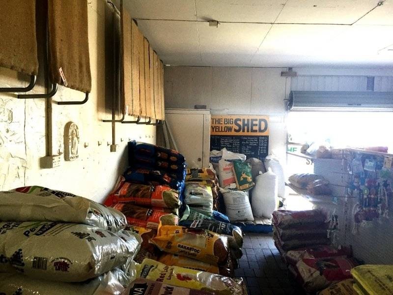 ‘The Green Shed’/32 Mary Street, Yeppoon QLD 4703