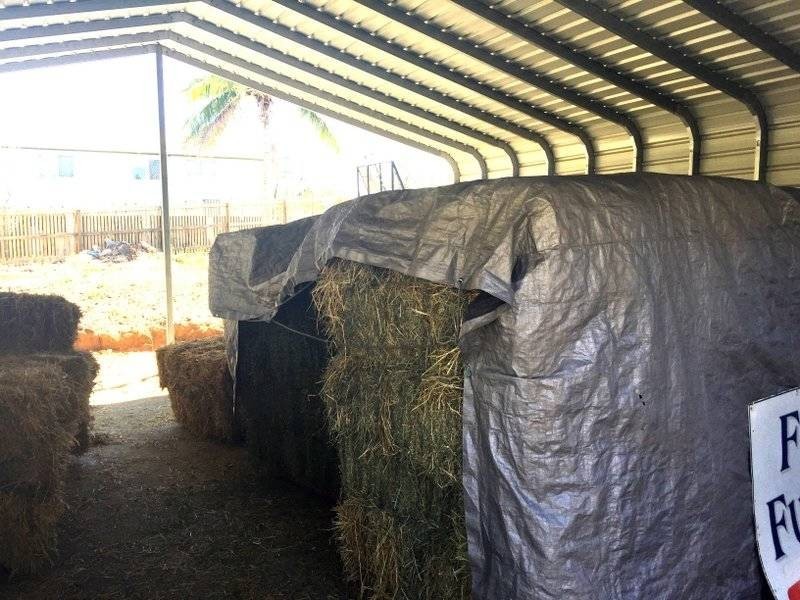 ‘The Green Shed’/32 Mary Street, Yeppoon QLD 4703