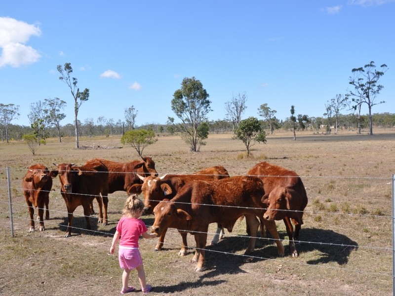 341 Neils Road, Barmaryee QLD 4703