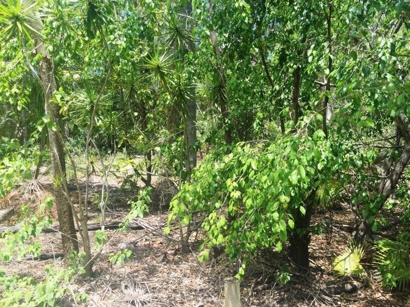 Lot 2 Byfield Road, Woodbury QLD 4703