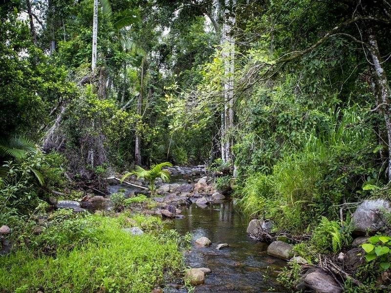 128 Castle Rock Road, Byfield QLD 4703