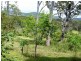 575 Woodbury Road, Woodbury QLD 4703