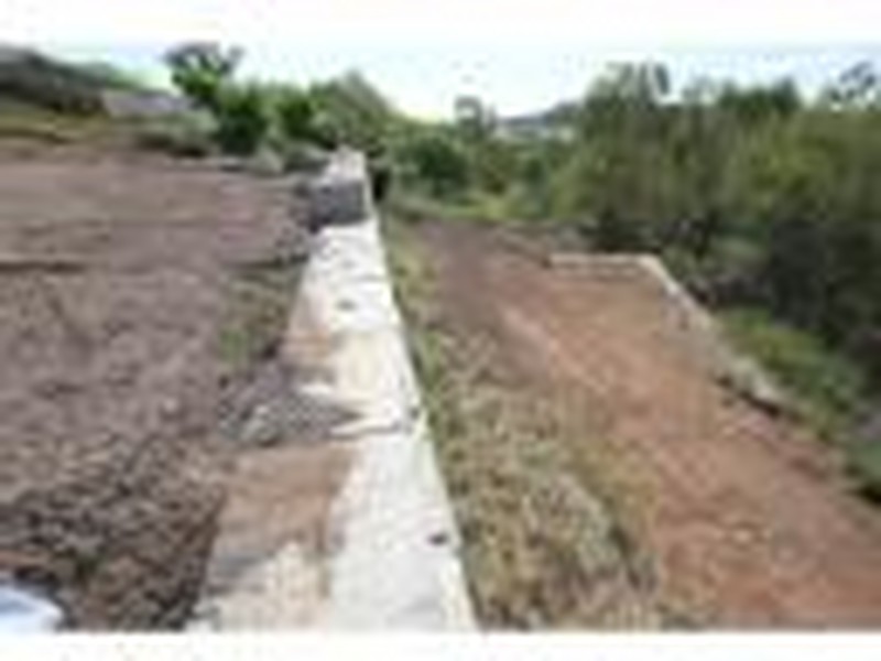 10 Nicole Place, Taroomball QLD 4703