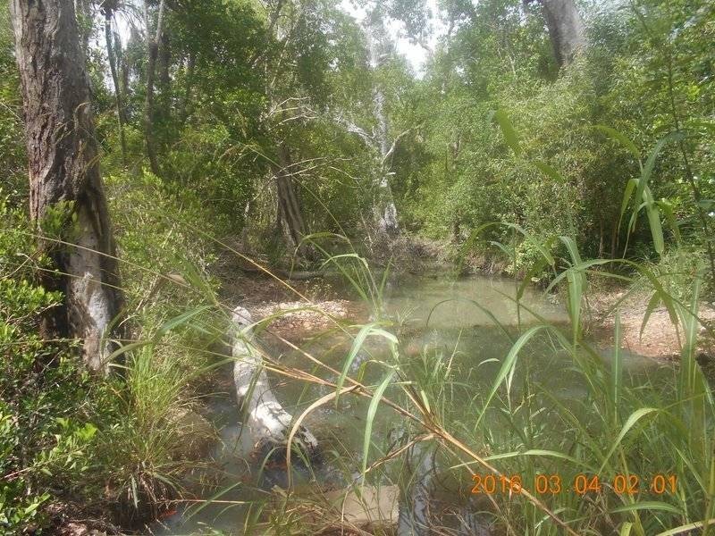 86 Paradigm Road, Woodbury QLD 4703