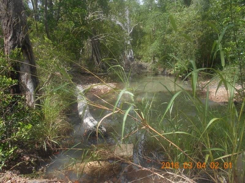 86 Paradigm Road, Woodbury QLD 4703