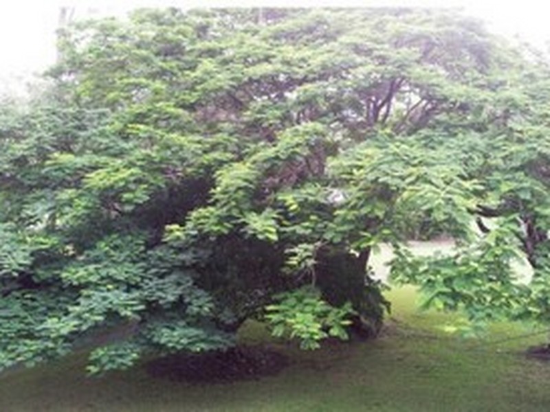 2409 Byfield Road, Byfield QLD 4703