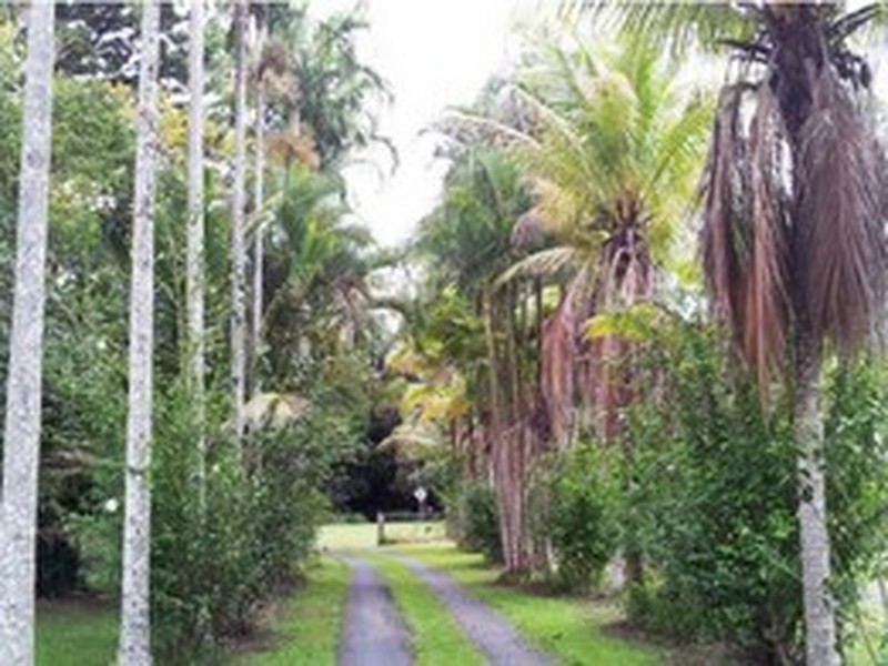 2409 Byfield Road, Byfield QLD 4703