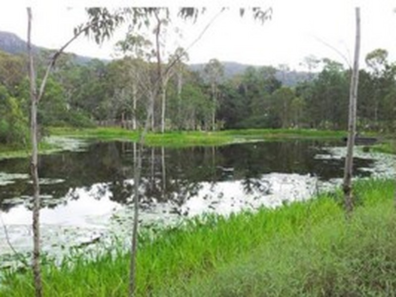 2409 Byfield Road, Byfield QLD 4703