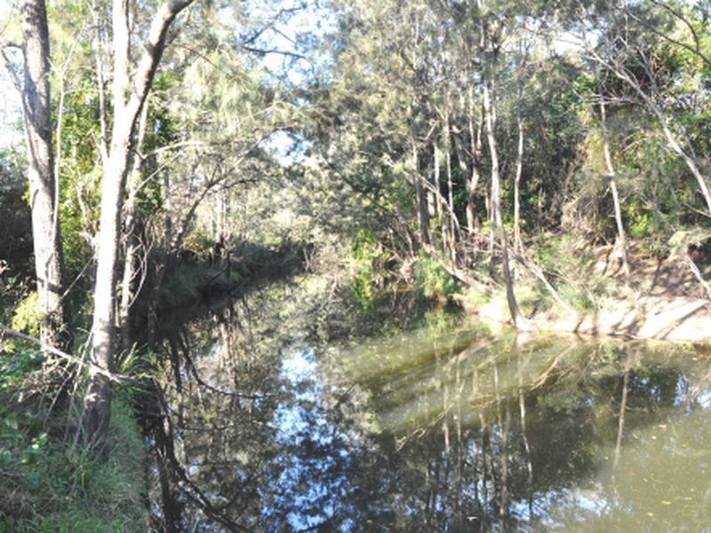 1306 Old Byfield Road, Cobraball QLD 4703