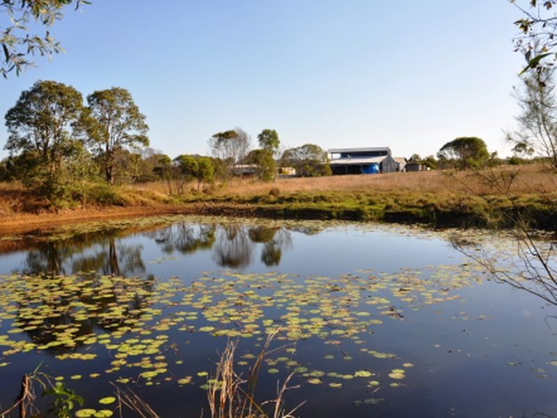 1306 Old Byfield Road, Cobraball QLD 4703