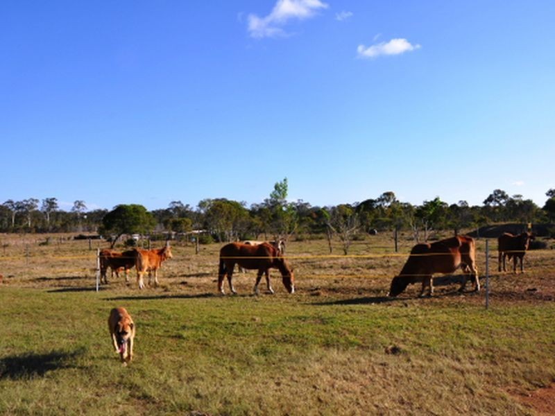 1306 Old Byfield Road, Cobraball QLD 4703