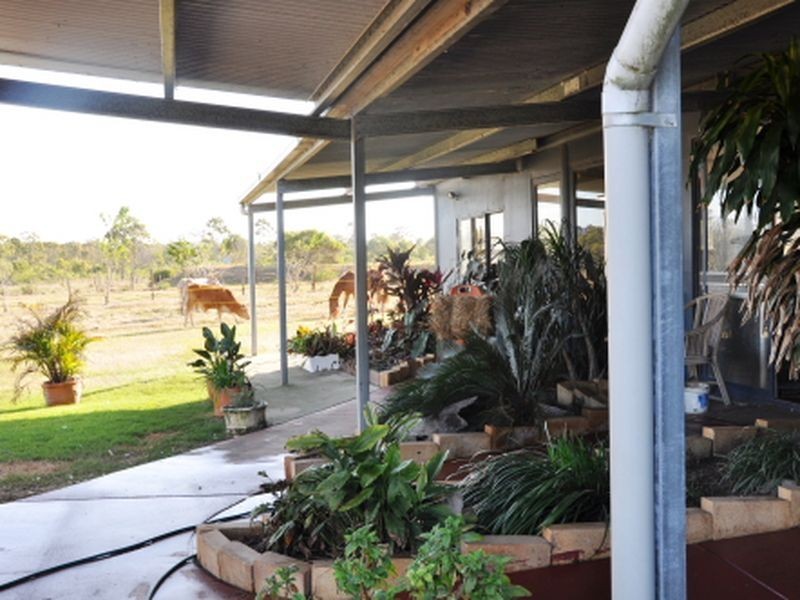 1306 Old Byfield Road, Cobraball QLD 4703