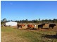 1306 Old Byfield Road, Cobraball QLD 4703