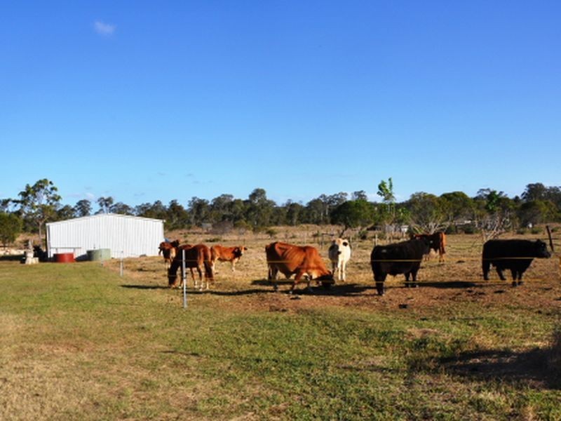 1306 Old Byfield Road, Cobraball QLD 4703