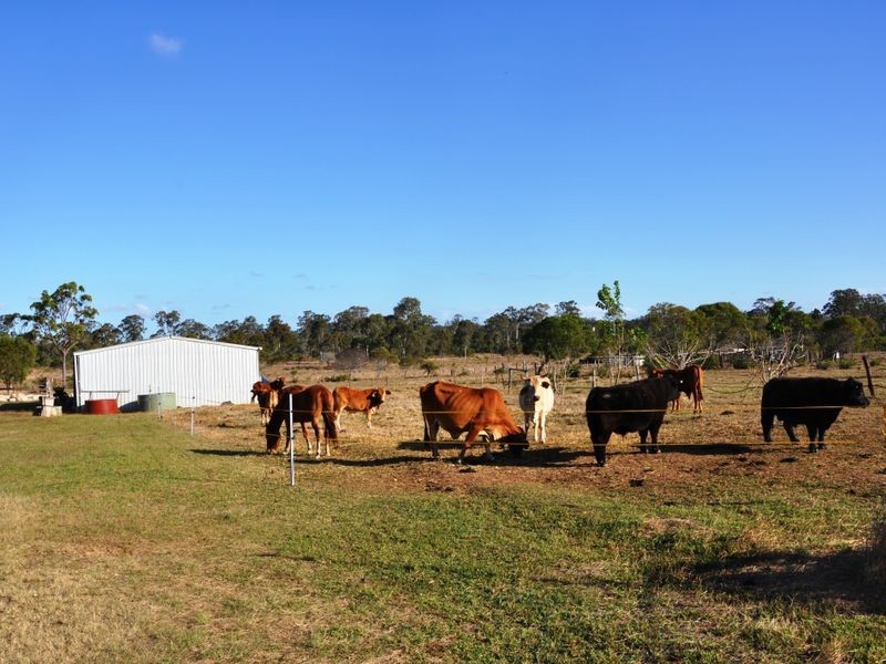 1306 Old Byfield Road, Cobraball QLD 4703