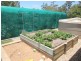 49 Tabone Street, Yeppoon QLD 4703