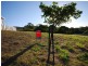 14 Barrington Court, Pacific Heights QLD 4703