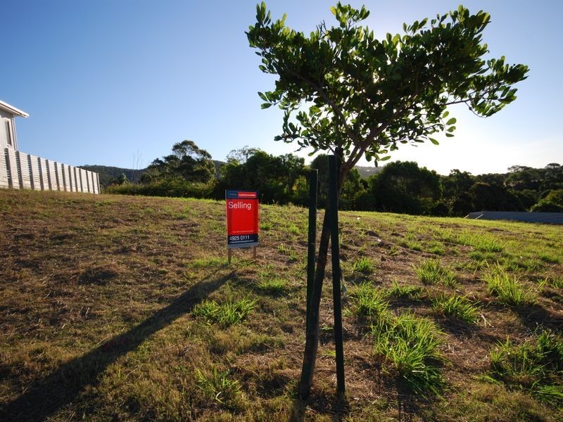 14 Barrington Court, Pacific Heights QLD 4703