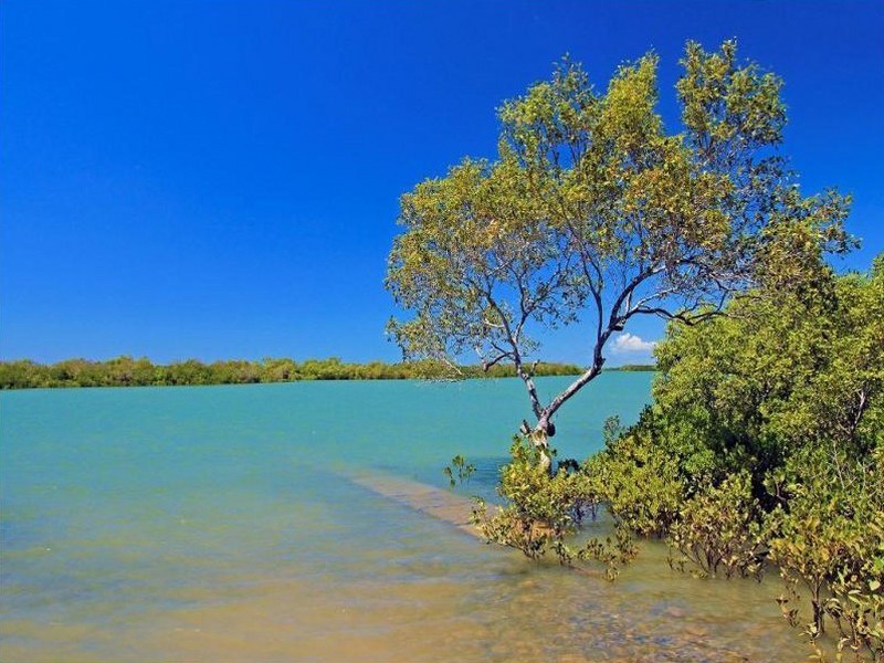 80 Hoys Rd, Coowonga QLD 4702