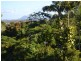 1 Morgan Street, Yeppoon QLD 4703