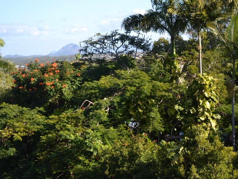 1 Morgan Street, Yeppoon QLD 4703