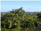 1 Morgan Street, Yeppoon QLD 4703
