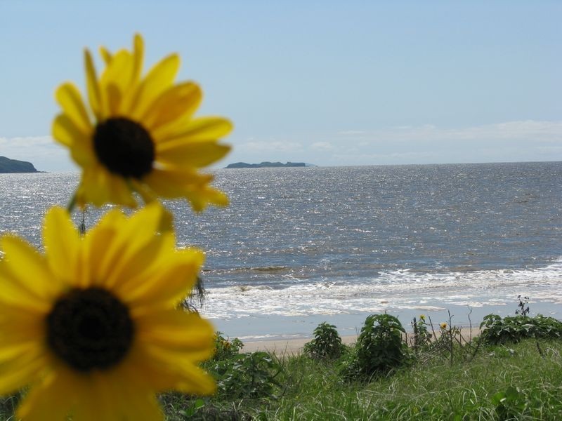 58 Keppel Street, Emu Park QLD 4710