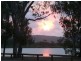 23 Ware Avenue, Causeway Lake QLD 4703