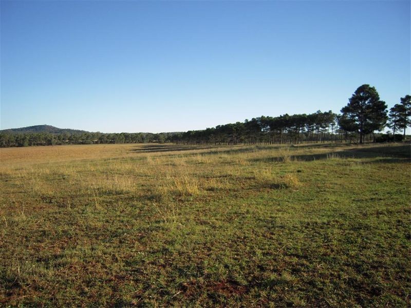 170 Lake Mary Road, Lake Mary QLD 4703