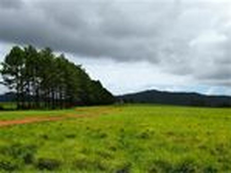 170 Lake Mary Road, Lake Mary QLD 4703