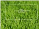 LOT 32318 Prominence Rise, Craigieburn VIC 3064