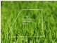 LOT 417 Kenora Way, Mickleham VIC 3064