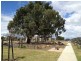 11 Moor Park Drive, Craigieburn VIC 3064