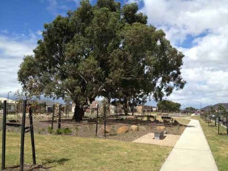 11 Moor Park Drive, Craigieburn VIC 3064