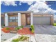 21 Bottlebrush Rd, Craigieburn VIC 3064