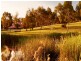 LOT 231 (8 Virtue Way, Craigieburn VIC 3064