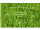 Lot 2813/ Docker Circuit, Mickleham VIC 3064