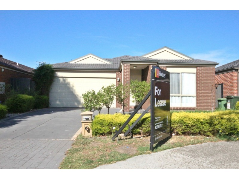 8 Ebony Circuit, Craigieburn VIC 3064