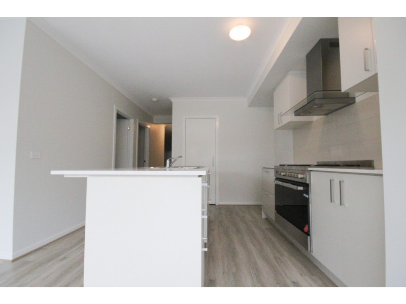 20 Angove Street, Craigieburn VIC 3064