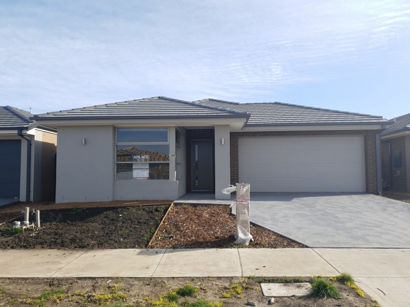 24 Elderberry Street, Craigieburn VIC 3064
